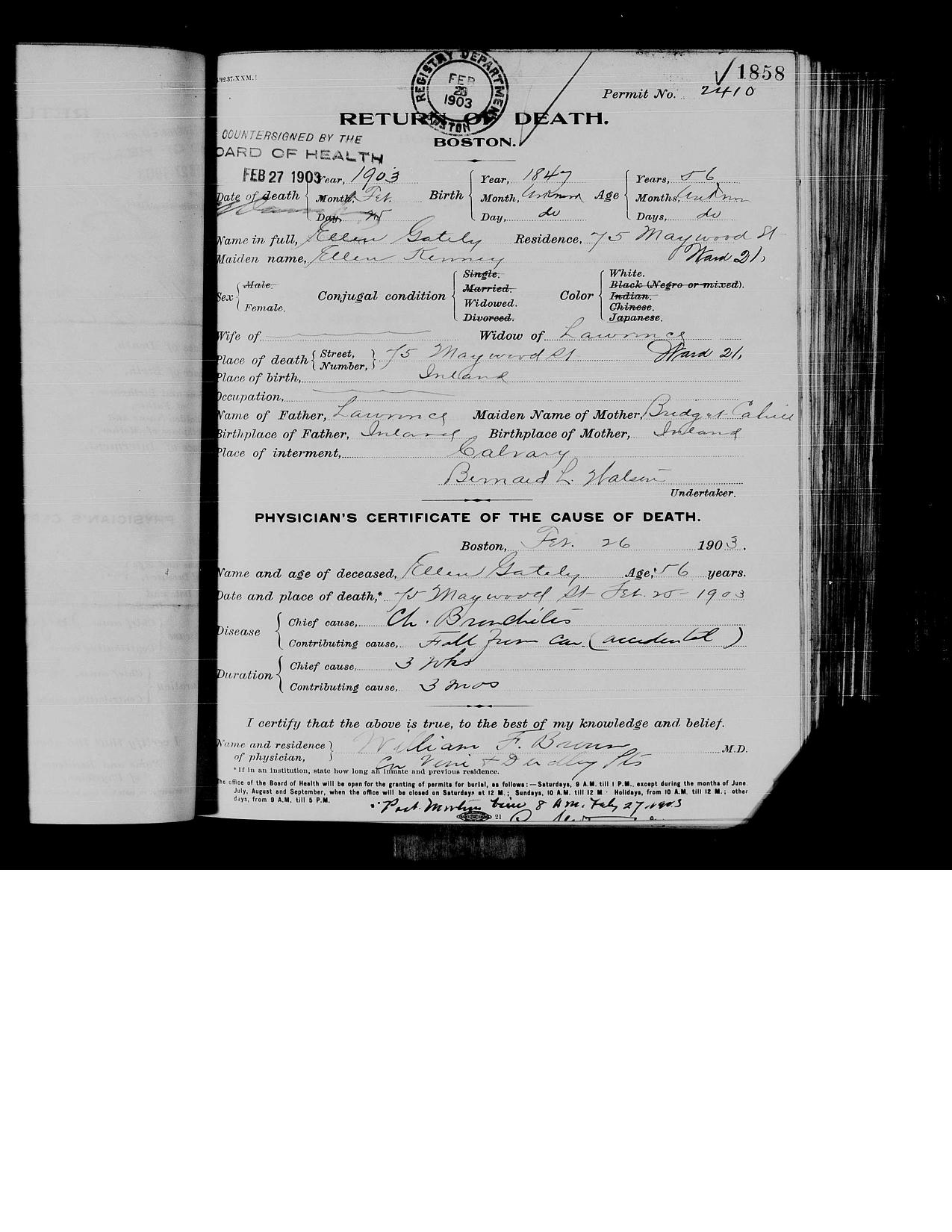 First page preview of death-record-for-ellen-gately-1903.pdf
